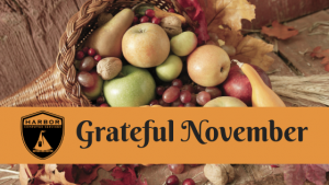 Grateful November